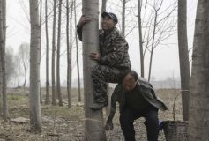 Yeli (Hebei) – Jia Haixia : les yeux et les bras (1ère partie)