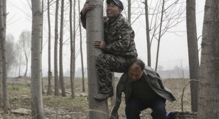 Yeli (Hebei) – Jia Haixia : les yeux et les bras (1ère partie)