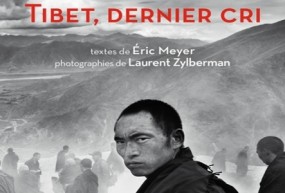 Impressions d’un lecteur sur « Tibet, dernier cri « 