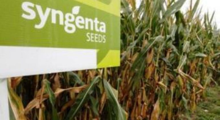 Syngenta sous drapeau rouge