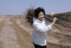 Mongolie Intérieure – Yi Jiefang, des arbres en mémoire du fils