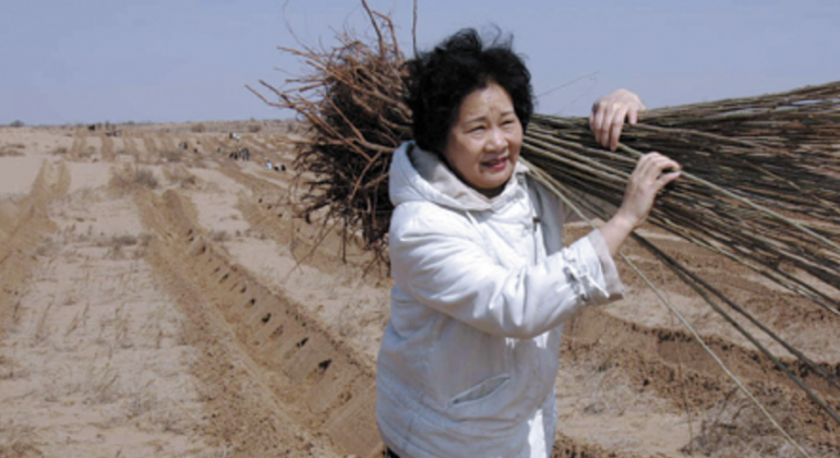 Mongolie Intérieure – Yi Jiefang, des arbres en mémoire du fils